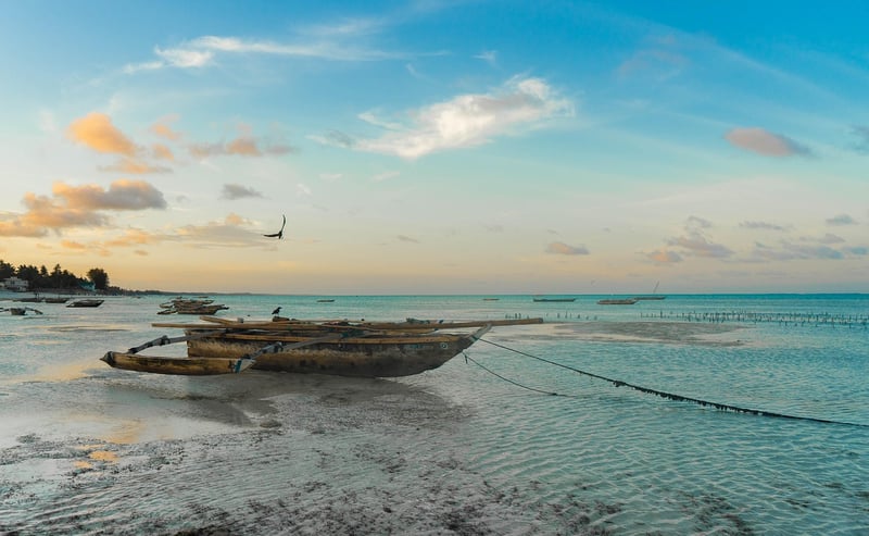 Exotic Coastline