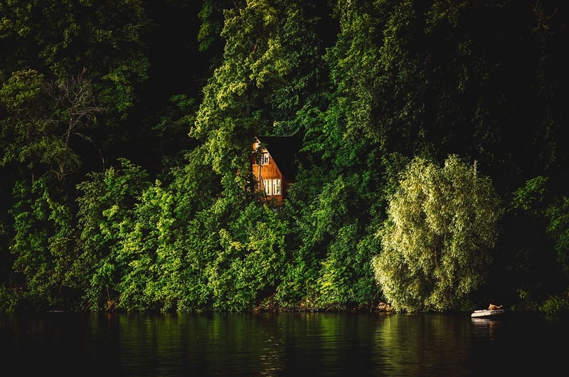 Forest Hideaway
